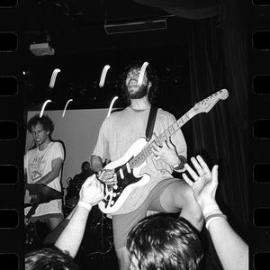 Horse the Band